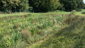 Cycle eau assainissement traitement st sulpice arnoult 4
